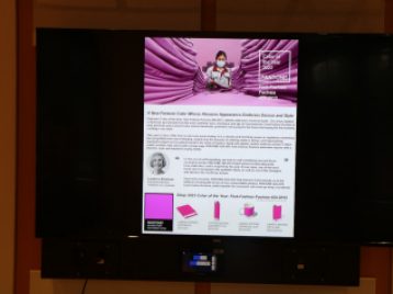 Photo of a monitor displaying Rita Vega's project, which features the color "Fast-Fashion Fuchsia."